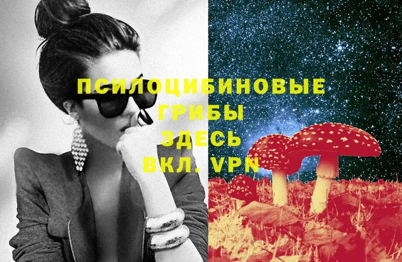 блэк спрут зеркало  Соликамск  Псилоцибиновые грибы MAGIC MUSHROOMS 